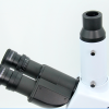 Trinocular Laboratory Microscope  YR0231 - Image 2