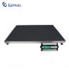 Pet Scale YR06191